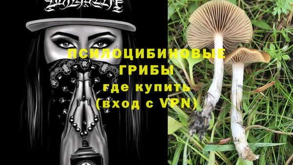 apvp Вязники