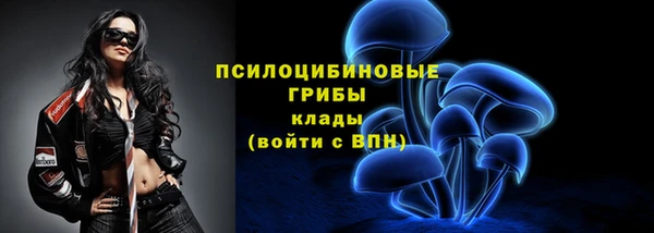 амф Вязьма