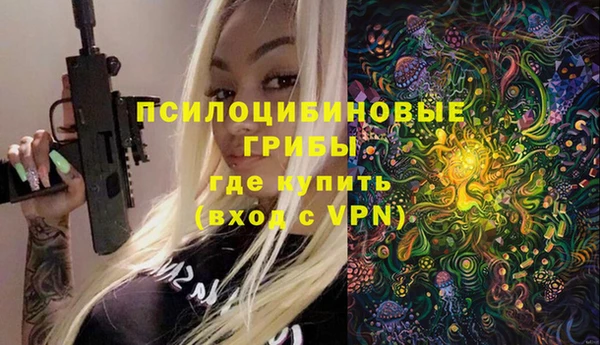 apvp Вязники
