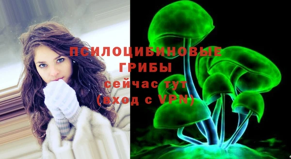 амф Вязьма