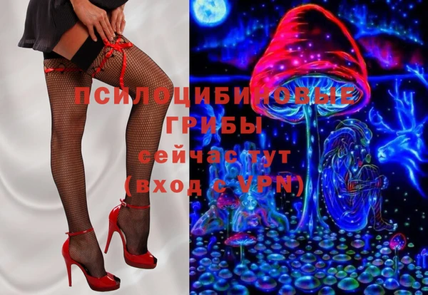 apvp Вязники