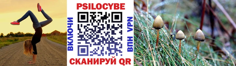 ссылка на мегу ссылки Иваново Псилоцибиновые грибы ЛСД